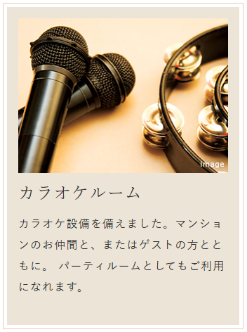 デュオセーヌ国立  カラオケルーム