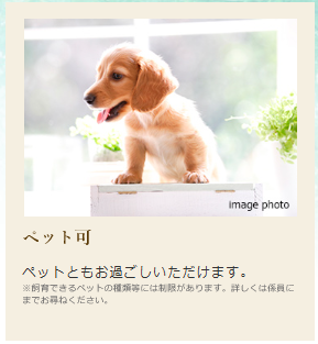 デュオセーヌ船橋高根台  ペット可