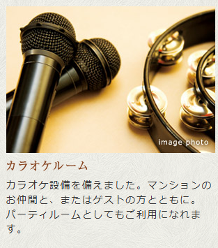 デュオセーヌ柏の葉キャンパス  カラオケルーム