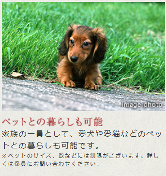デュオセーヌ柏の葉キャンパス  ペットとの暮らしも可能