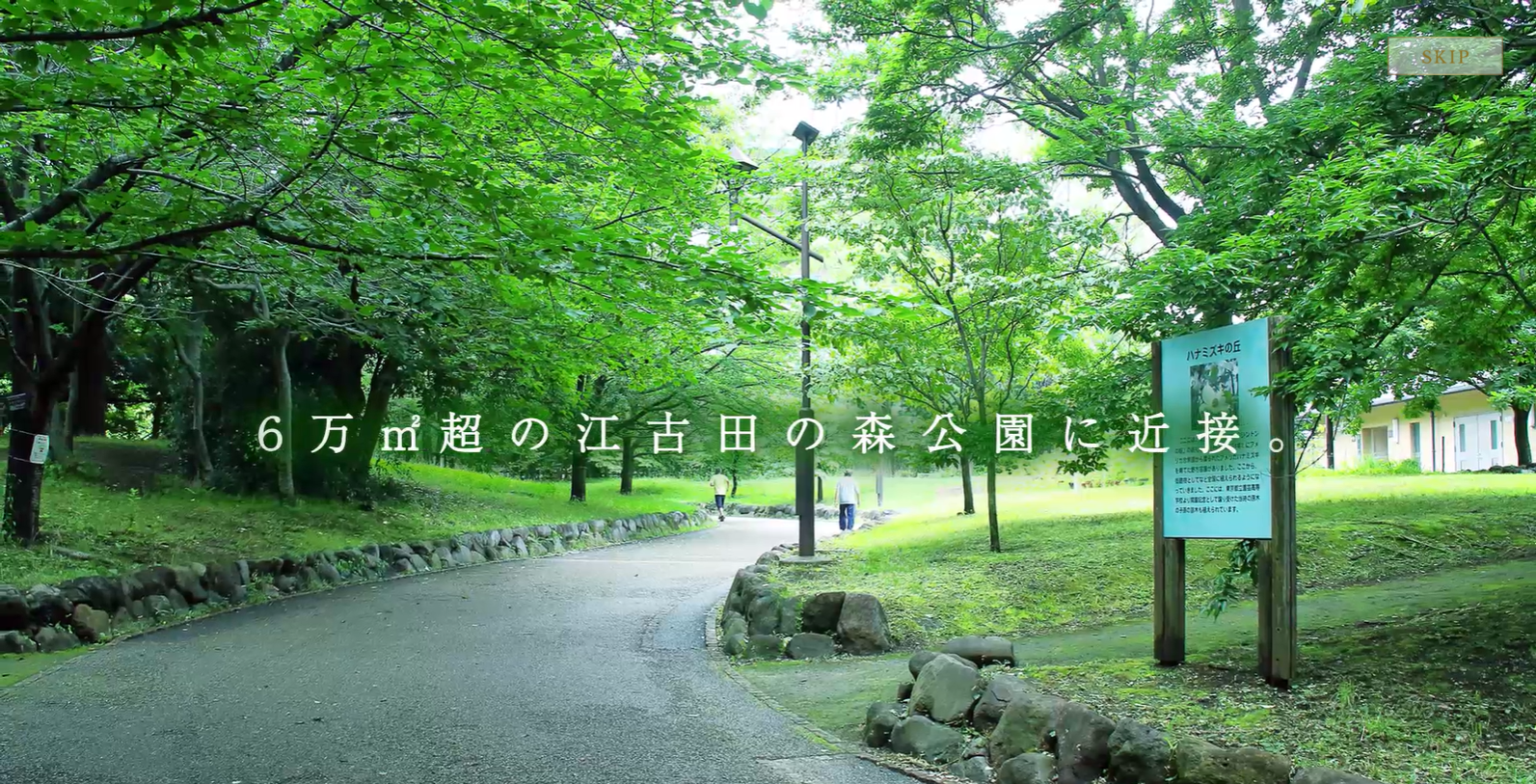 デュオセーヌ江古田の森公園  6万平米超の江古田の森公園に隣接