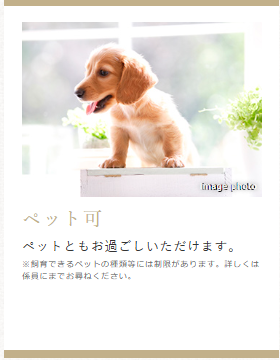 デュオセーヌ豊田  ペット可※管理規約による制限あり